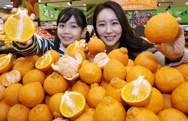 롯데마트는 13일까지 서울역, 서초, 구리, 잠실 등 80여개 점포에서 미국산 한라봉으로 불리는 ‘스모 오렌지’를 점포 별 한정 수량으로 선보인다고 6일 밝혔다. ⓒ 롯데쇼핑