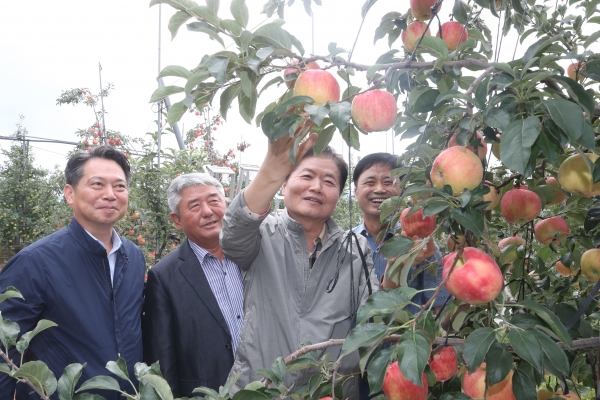 김병원 농협중앙회장(오른쪽 두번째)이 27일 충남 예산지역 사과농가를 방문해 사과를 살피고 있다. ⓒ농협