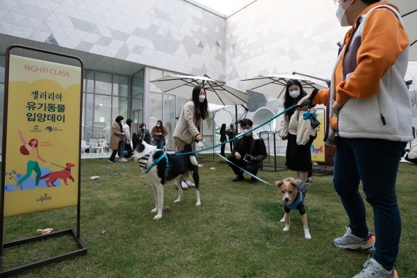 갤러리아백화점은 국회의원 연구단체인 동물복지국회포럼이 개최하는 '2020 대한민국 동물복지대상'에서 '농림축산식품부 장관상'을 수상했다고 10일 밝혔다. ⓒ갤러리아백화점