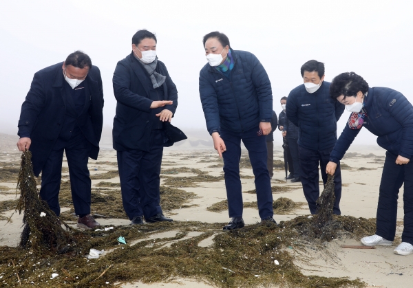 임준택 수협중앙회장(사진 중앙)이 22일 전남 신안군 양산해변에서 괭생이모자반 피해 상황을 점검하고 있다. ⓒ수협중앙회