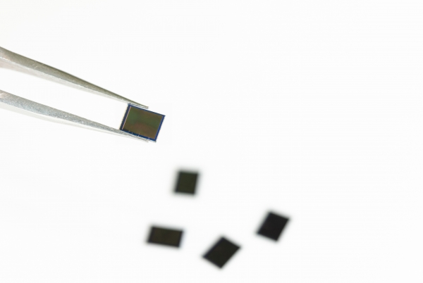 삼성전자는 업계에서 가장 작은 픽셀 크기인 0.64㎛(마이크로미터)의 5000만 화소 이미지센서 ‘아이소셀(ISOCELL) JN1’을 출시했다고 10일 밝혔다. ⓒ삼성전자