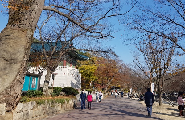 왼편에 보이는 성보박물관. 1987년에 설립한 한국 최초의 사찰 박물관이다. ⓒ정명화 자유기고가