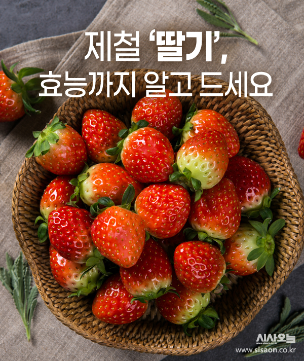 [카드뉴스] 제철 맞은 ‘딸기’, 효능까지 알고 드세요