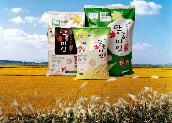 정읍시의 대표 브랜드 쌀인 ‘단풍미인 쌀’이 지난 8월에 이어 이번 달 9일 올해 두 번째 수출길에 올랐다. ⓒ사진제공=정읍시