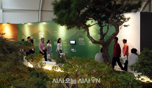 22일 오후 강원도 고성군 통성면 세계짐버리수련장에서 열린 ‘2023강원세계산림엑스포’ 에 관람객들이 산림평화관 전시관을 관람하고 있다.