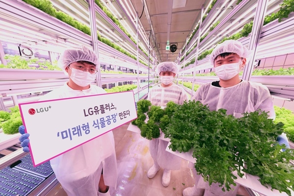 LG유플러스, ‘미래형 식물공장’ 만든다 ⓒLG유플러스