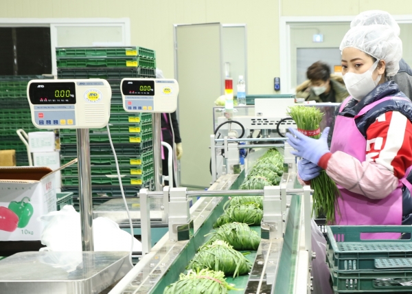 CJ그룹의 식자재 유통 및 단체급식 전문기업 CJ프레시웨이가 국내 농산물 판로 확대에 나섰다고 7일 밝혔다. ⓒCJ프레시웨이