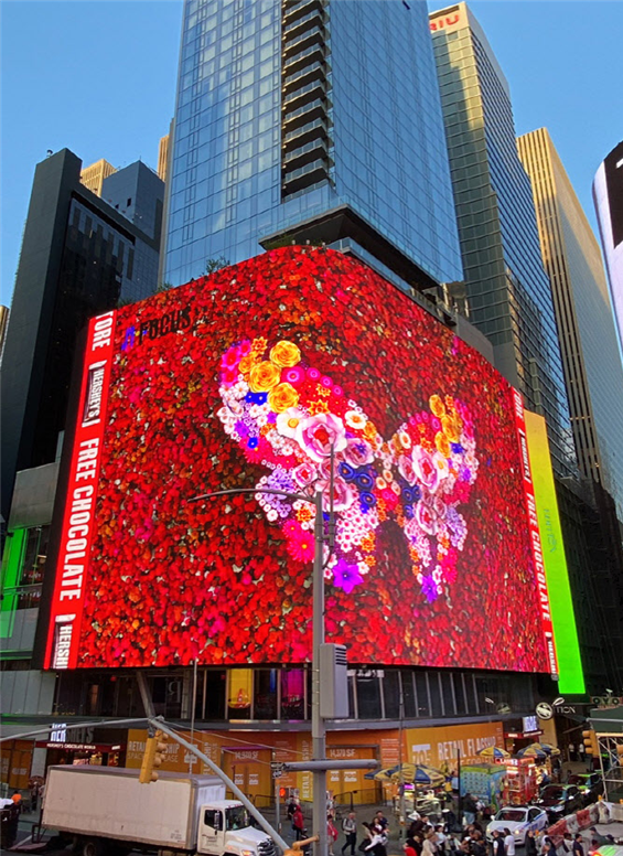 나비작가 김홍년 작가의 나비작품 영상이 뉴욕 맨해튼 타임스퀘어 대형 전광판에 8일부터 14일까지 전시되고 있다. ⓒ코쿤디아트KOCOON D'ART